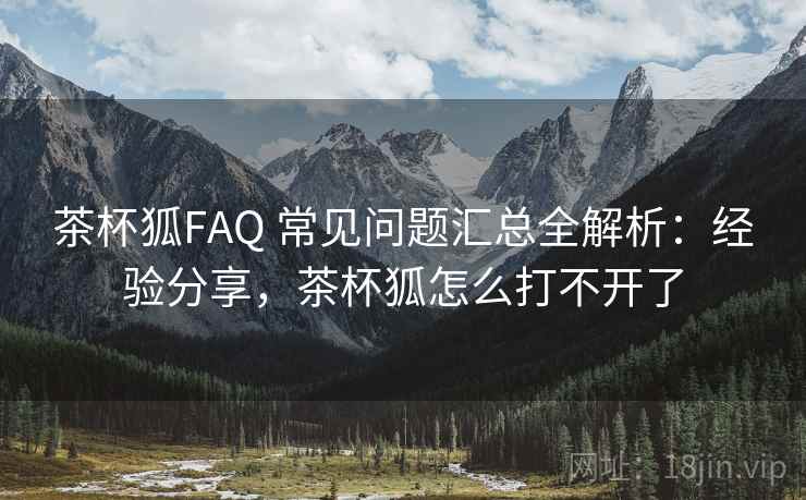 茶杯狐FAQ 常见问题汇总全解析：经验分享，茶杯狐怎么打不开了