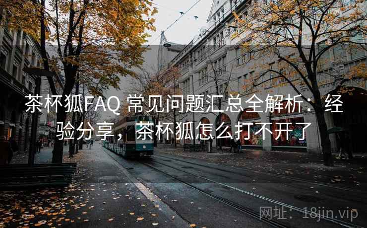 茶杯狐FAQ 常见问题汇总全解析：经验分享，茶杯狐怎么打不开了