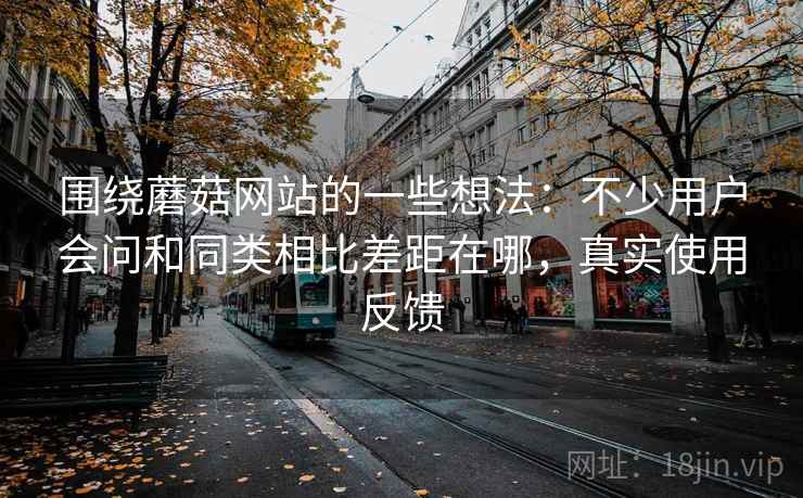 围绕蘑菇网站的一些想法：不少用户会问和同类相比差距在哪，真实使用反馈